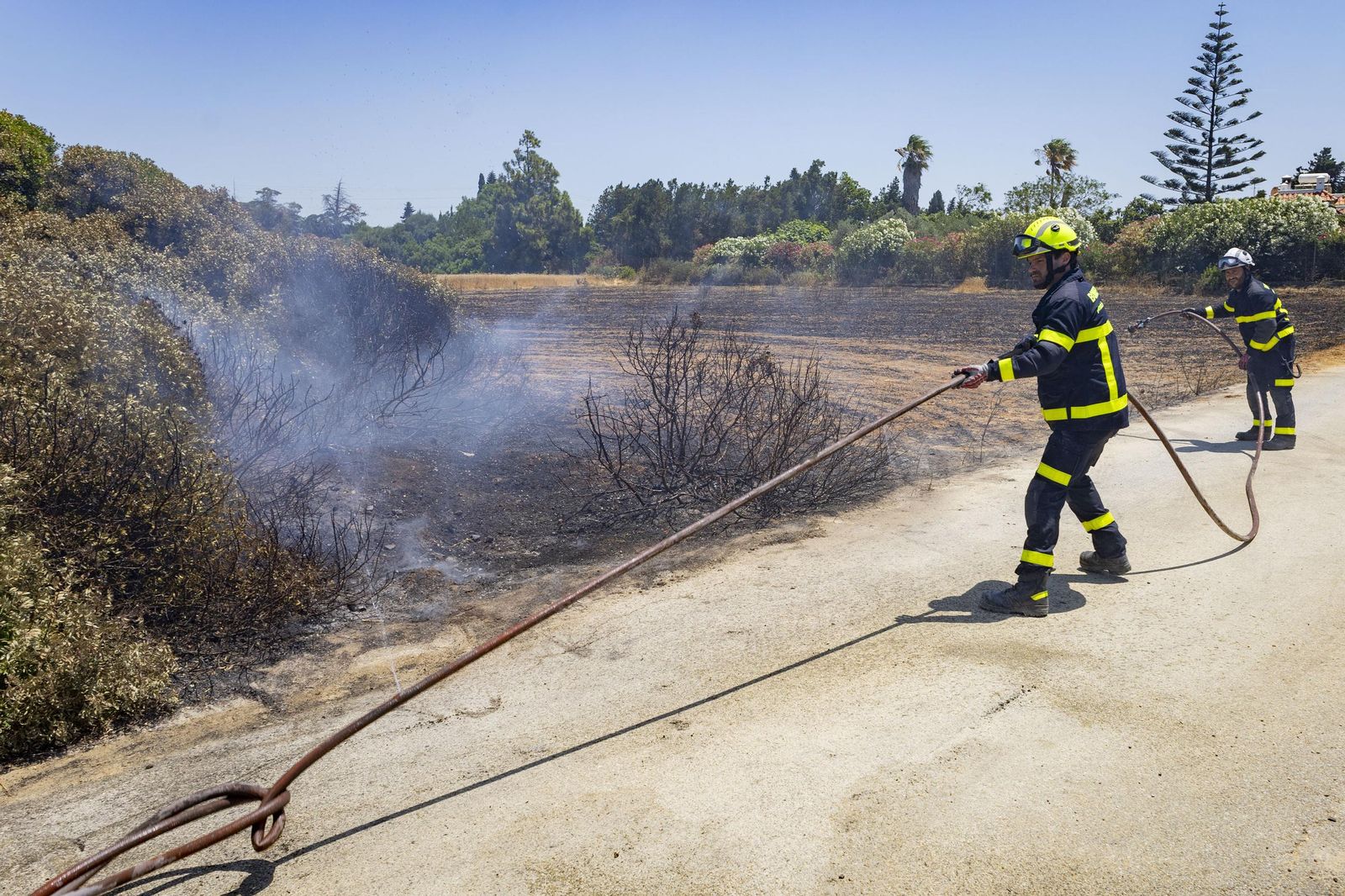 Las imágenes del incendio declarado junto a Roche, en Conil