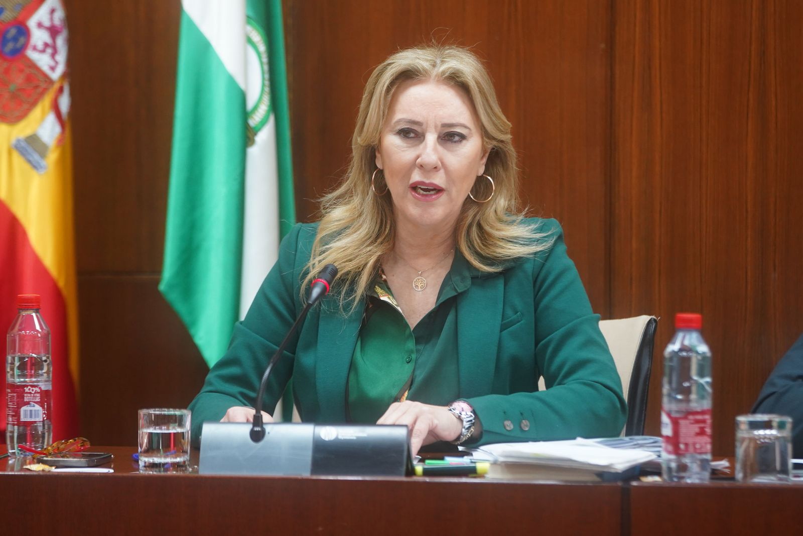 Carolina España en la Comisión de Economía del Parlamento de Andalucía.