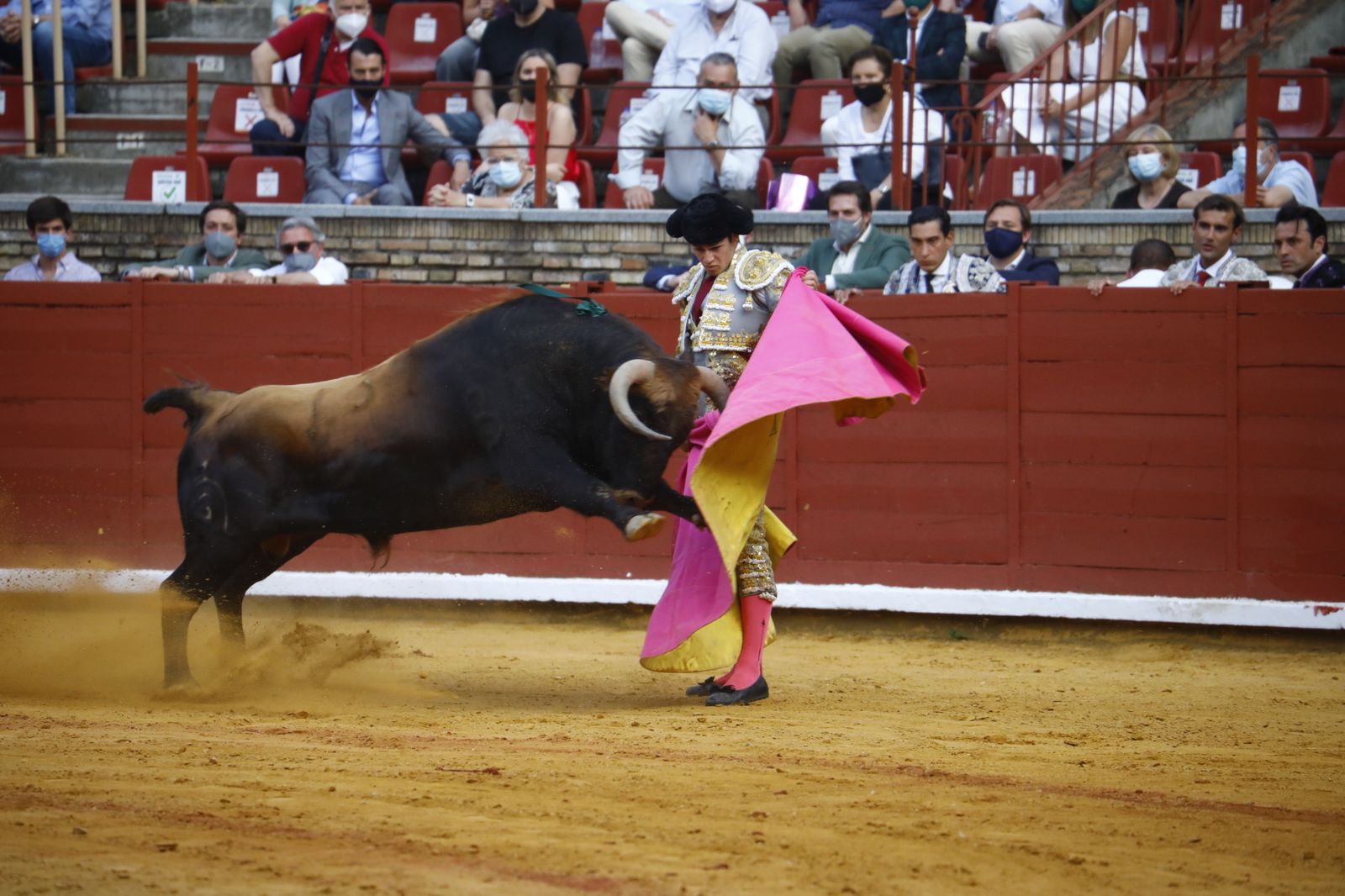 Las fotografías de la novillada con picadores de la Feria Taurina de Córdoba