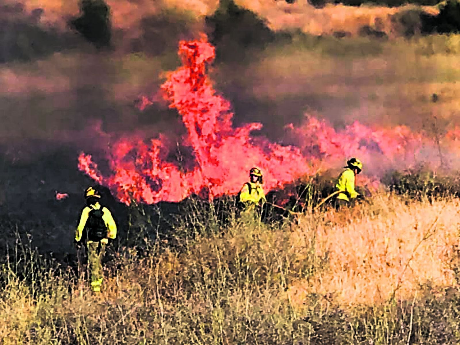 Varios efectivos del Infoca actúan en el inciendio de Benahavís.