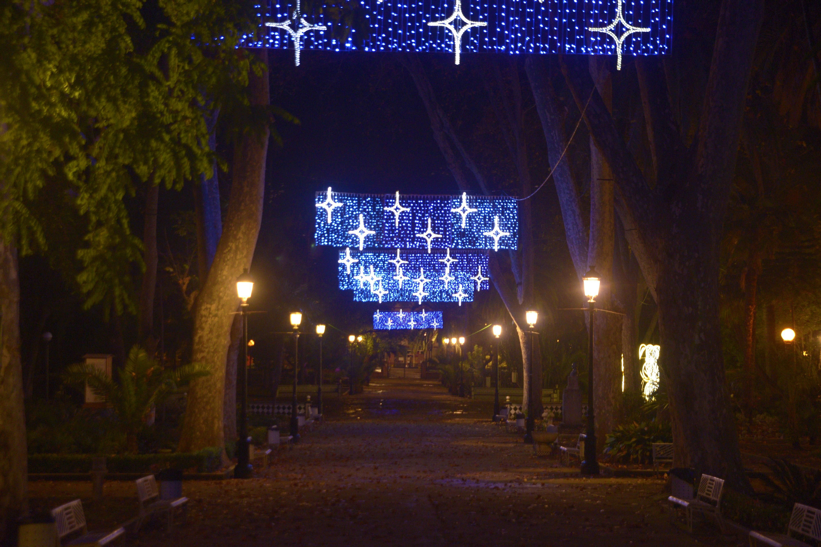 Fotos del alhumbrado navideño de Algeciras