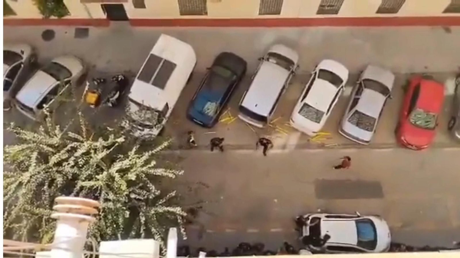 Así fue la batalla campal entre ultras del Granada y del Málaga contra los del Cádiz CF