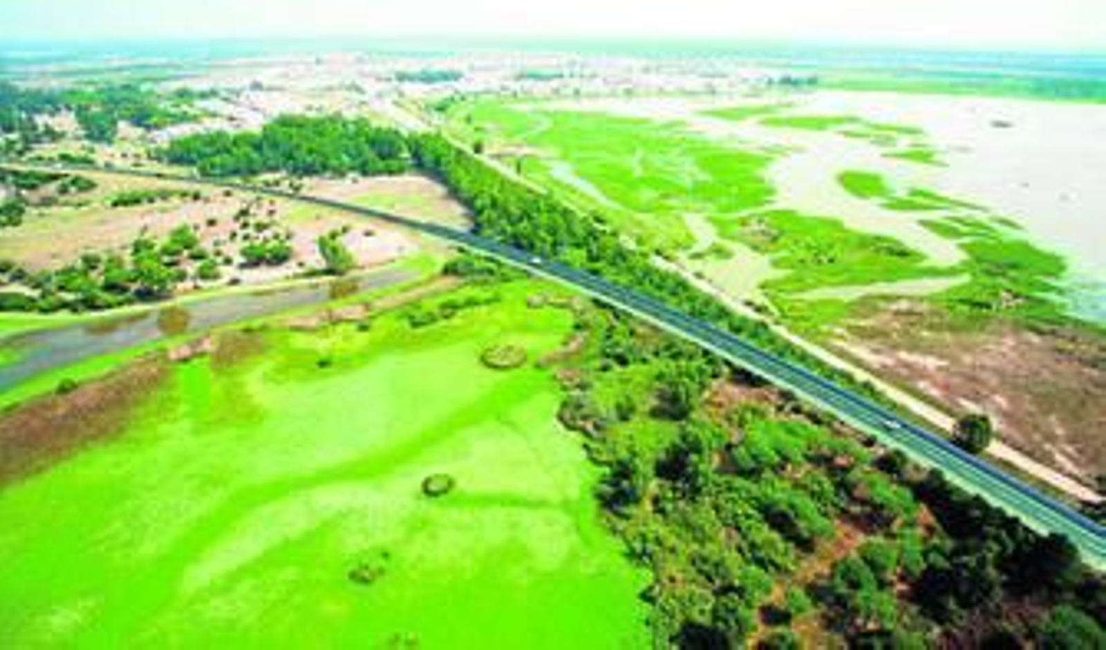 Infografia del proyecto de la variante de El Rocío, donde se observa la importancia del viaducto para garantizar el aporte hídrico a las marismas.