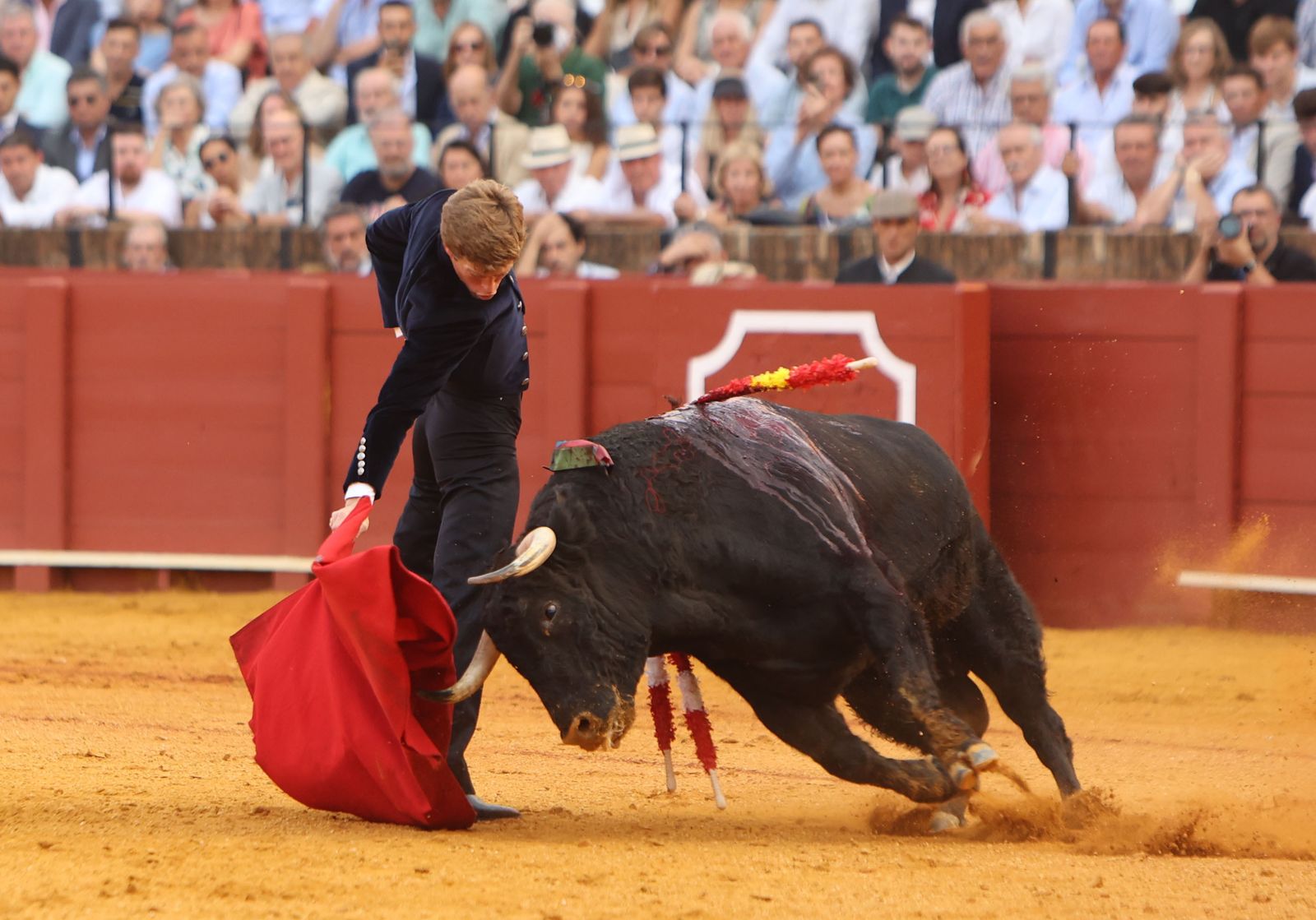 Fotos del Festival taurino a beneficio de l de la Hermandad del Rocío de Triana y de la Fundación Alalá