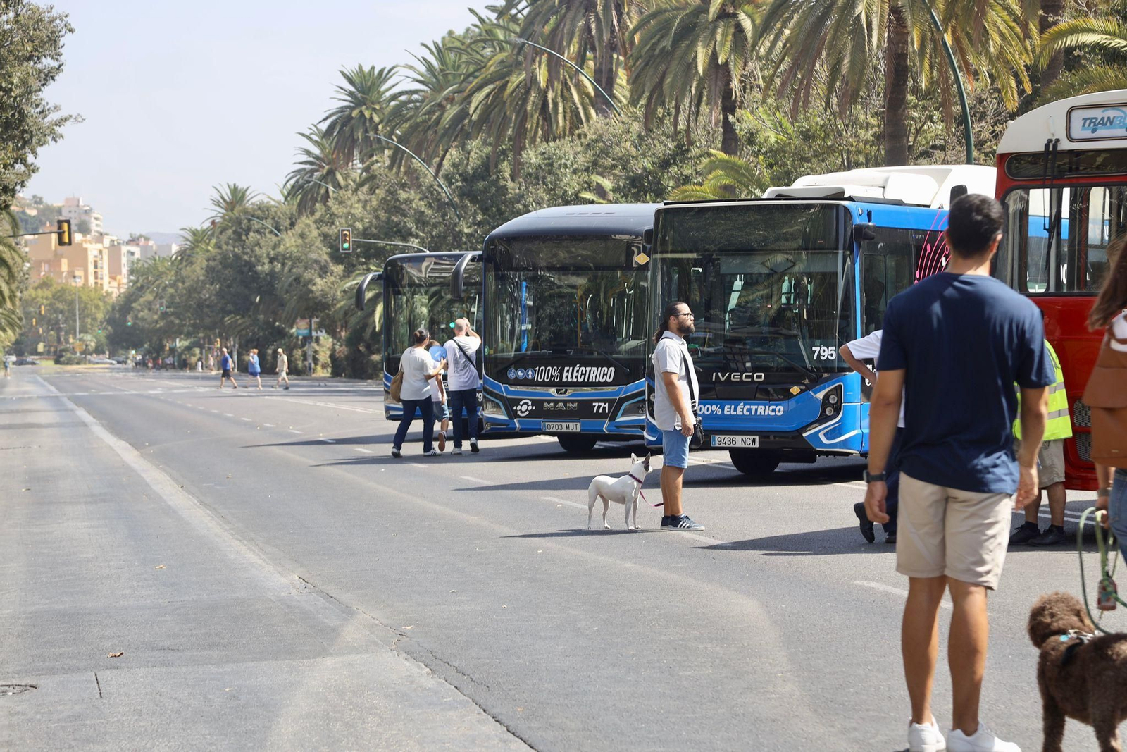 Fotogalería: viaje en el tiempo a la Málaga de los años 80 en el Día sin coche