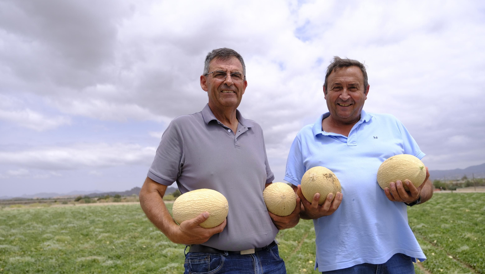 La sandía y el melón de Huércal Overa, manjares en imágenes