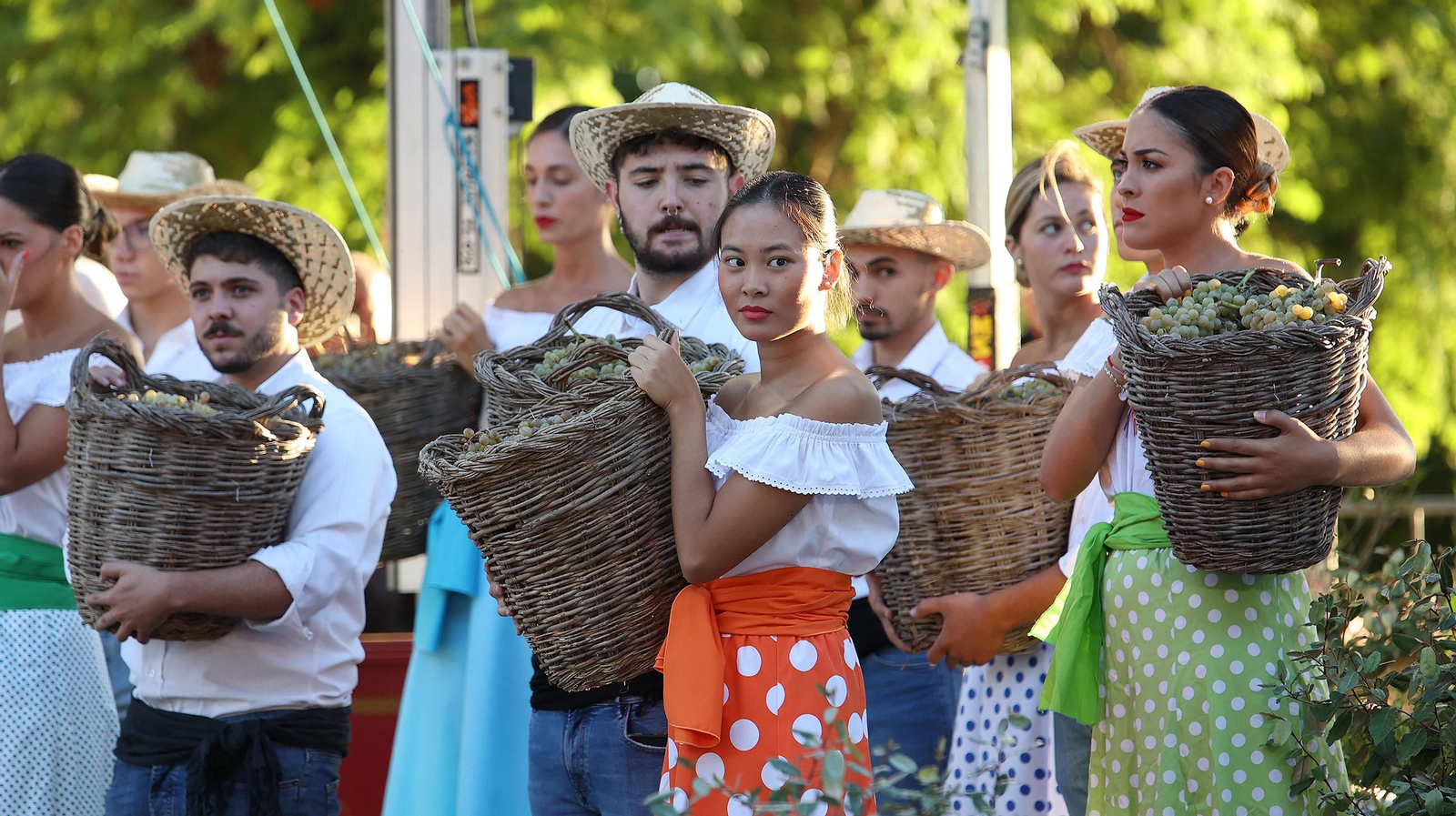 Imágenes de la tradicional pisa de la uva en Jerez