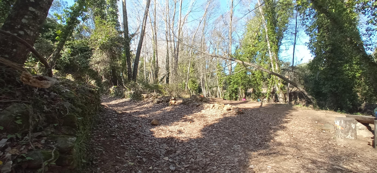 Las imágenes de la ruta de la cascada de Jollarancos y bosque de las letras