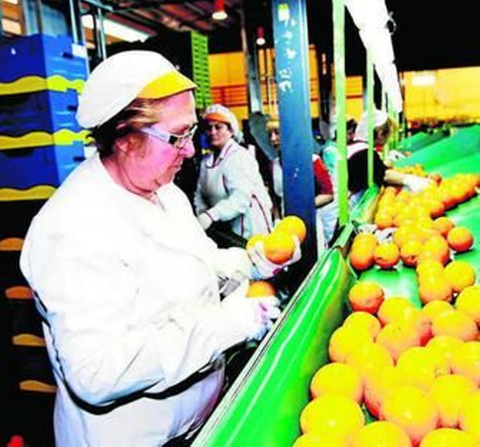 Trabajadoras de la SAT Cítricos del Andarax.