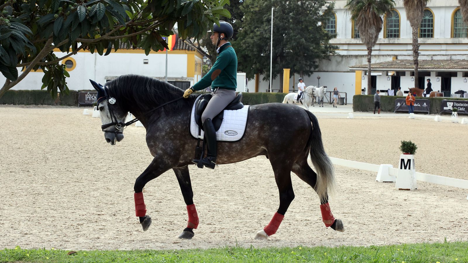 El Concurso Internacional en la Real Escuela Ecuestre, en imágenes