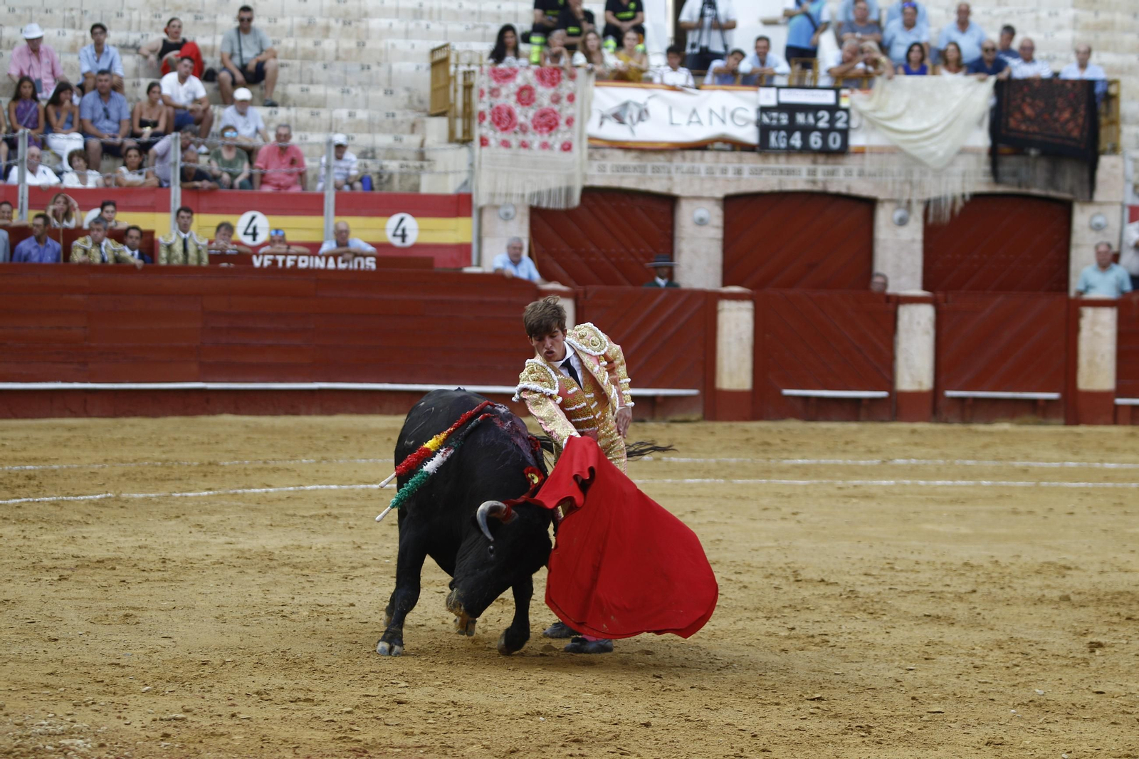 Imágenes de la novillada de la Feria de Almería 2025