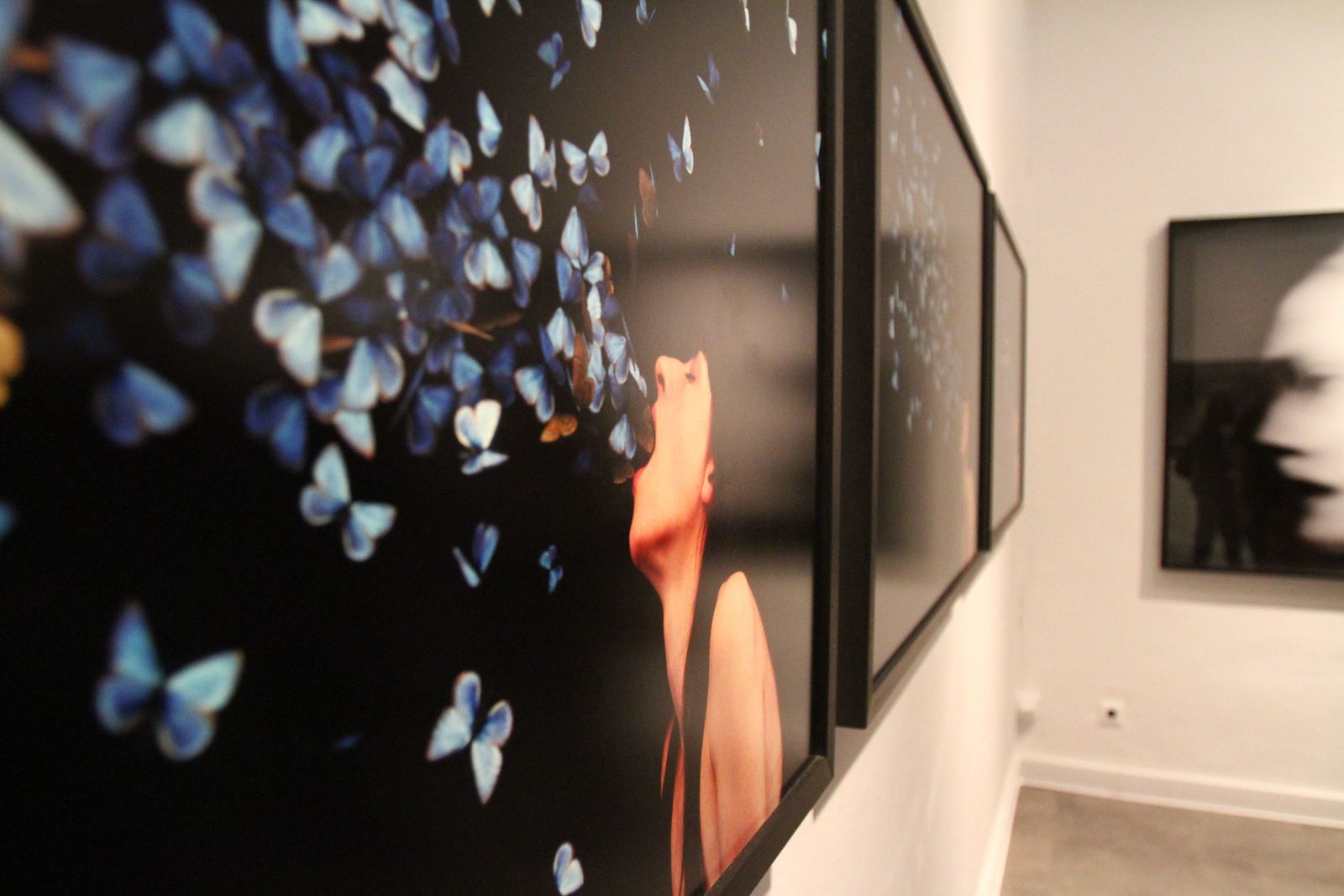 Inauguración de Latitudes 2019 en el Museo Provincial de Huelva