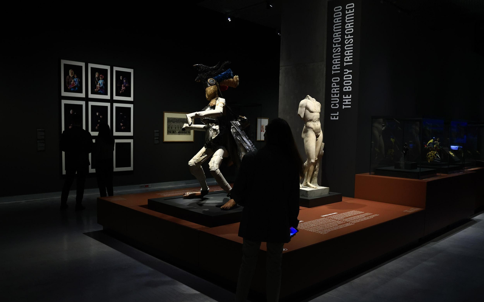 Imagen Humana. Arte, Identidades y simbolismo en CaixaForum