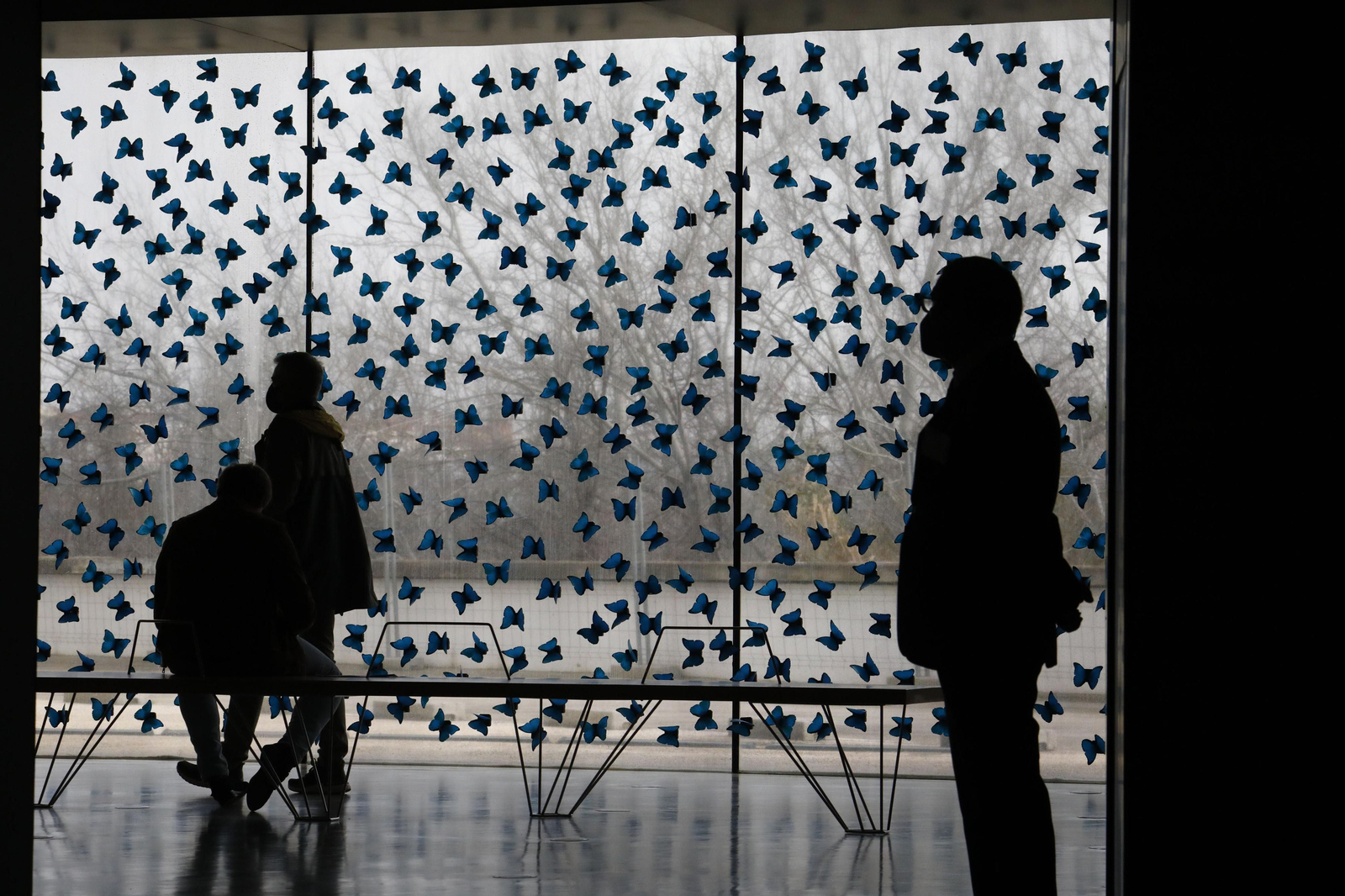 La exposición 'No todo es azar' donada al C3A de Córdoba, en fotos