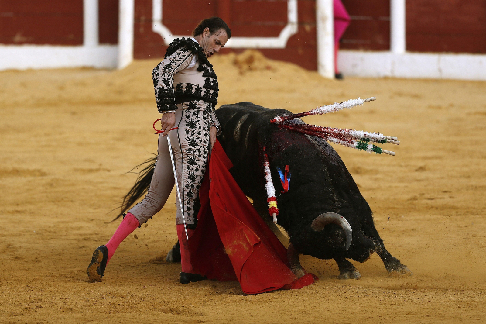 Finito en la corrida del pasado viernes en Antequera. Finito en la corrida del pasado viernes en Antequera.