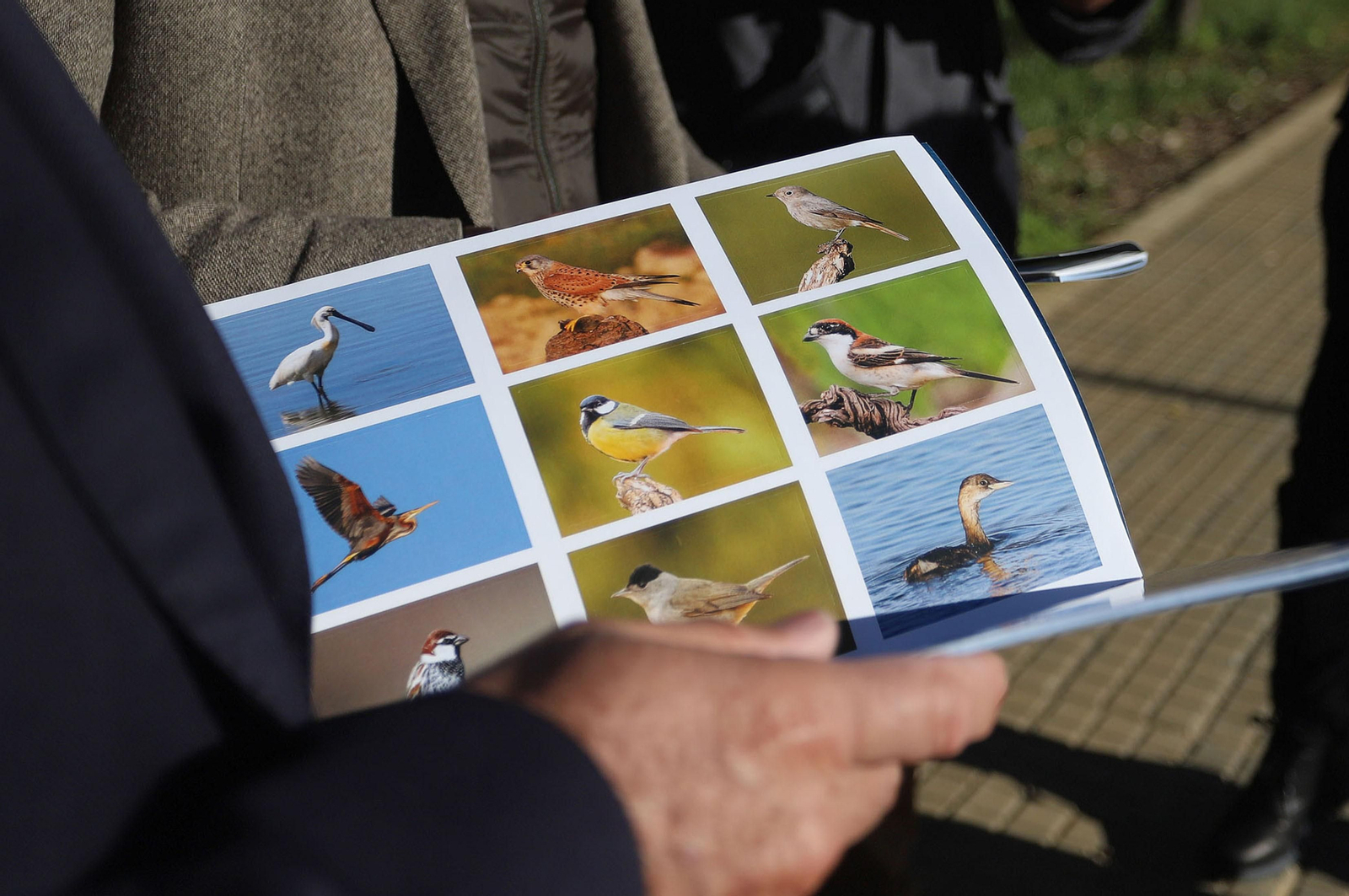 Imágenes de la presentación del primer álbum de fichas adhesivas de la avifauna del Paraje Natural Marismas del Odiel