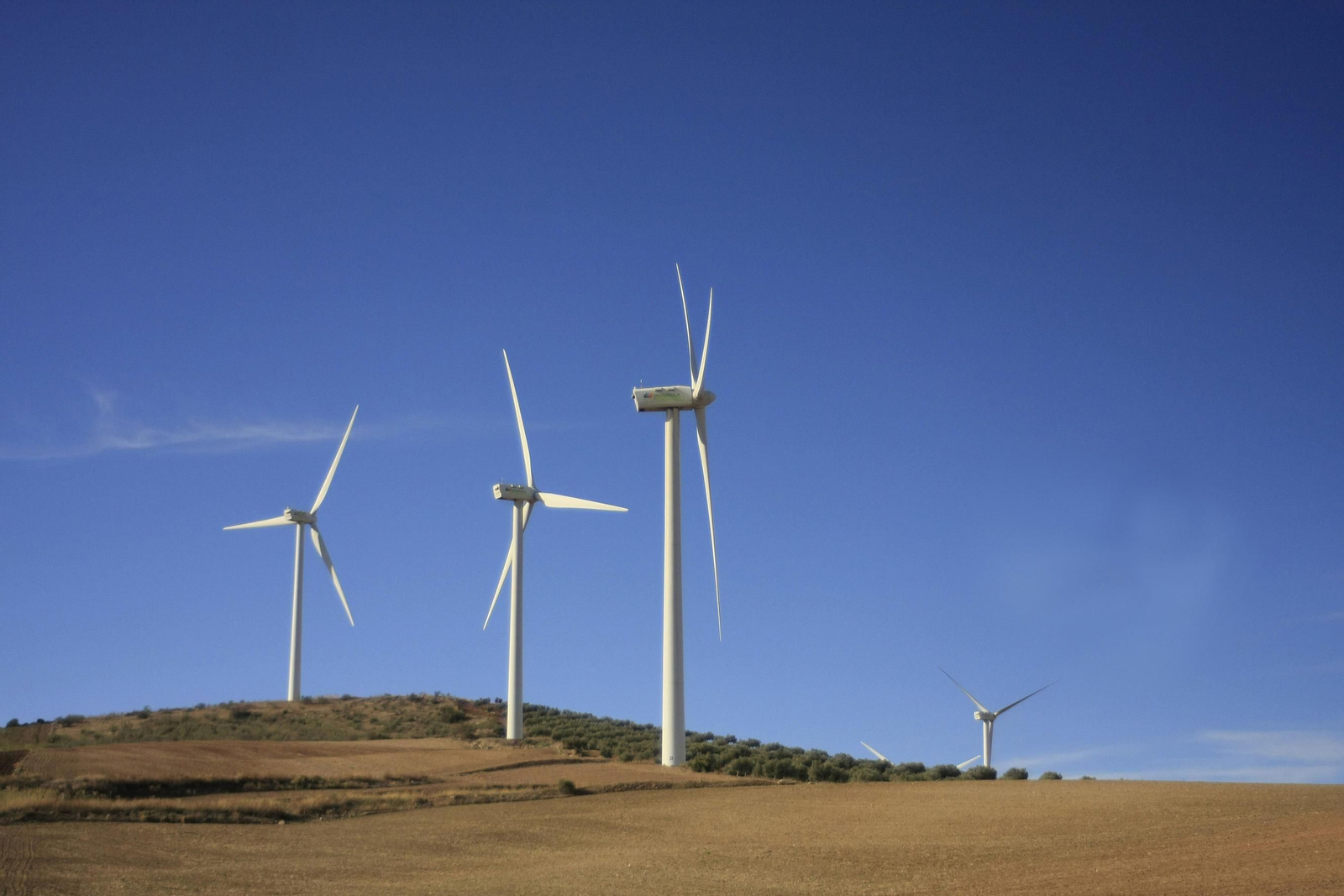 Parque eólico instalado en la zona de Guadatelba.