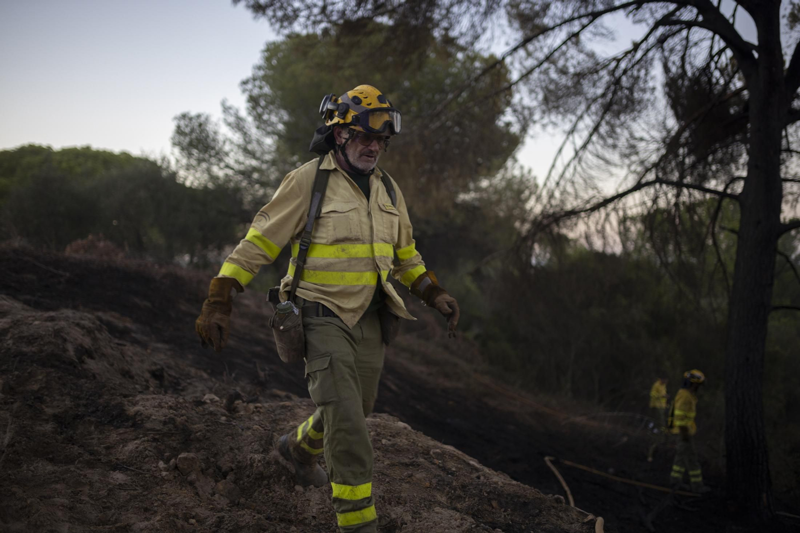 Imágenes del incendio de Bonares