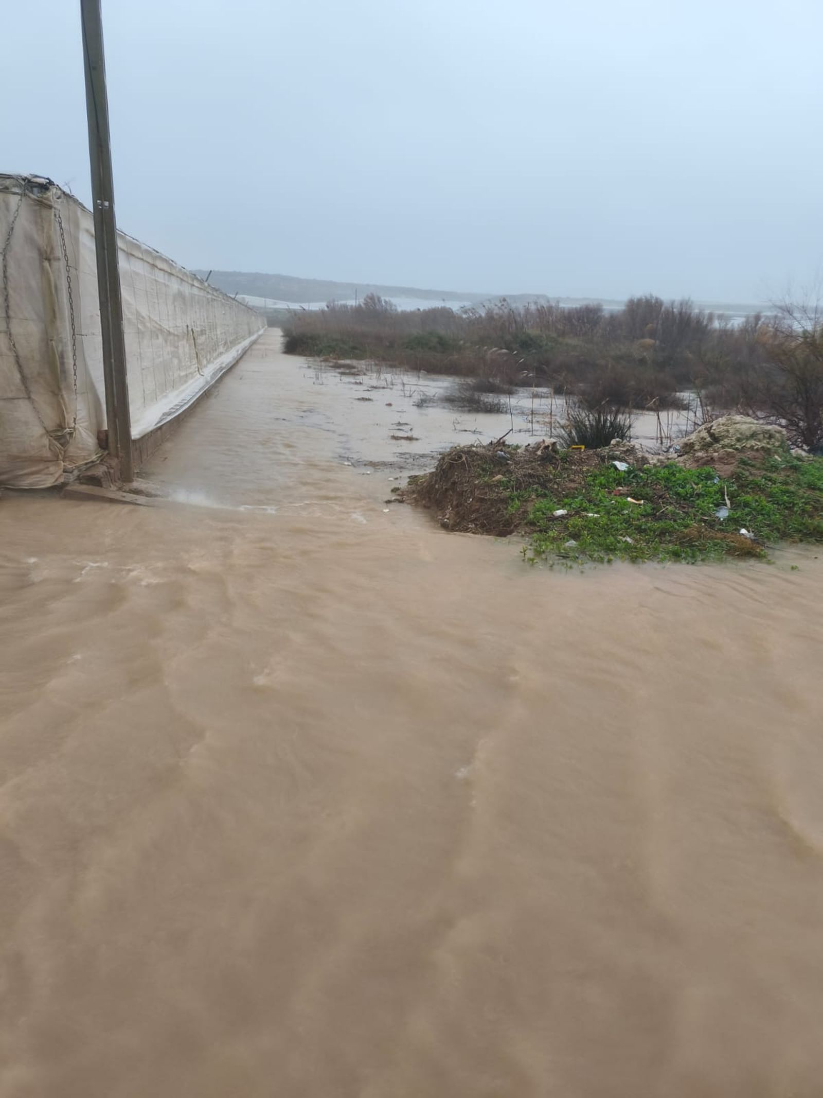 Cultivo de invernadero afectado por las lluvias de este miércoles en el Poniente.