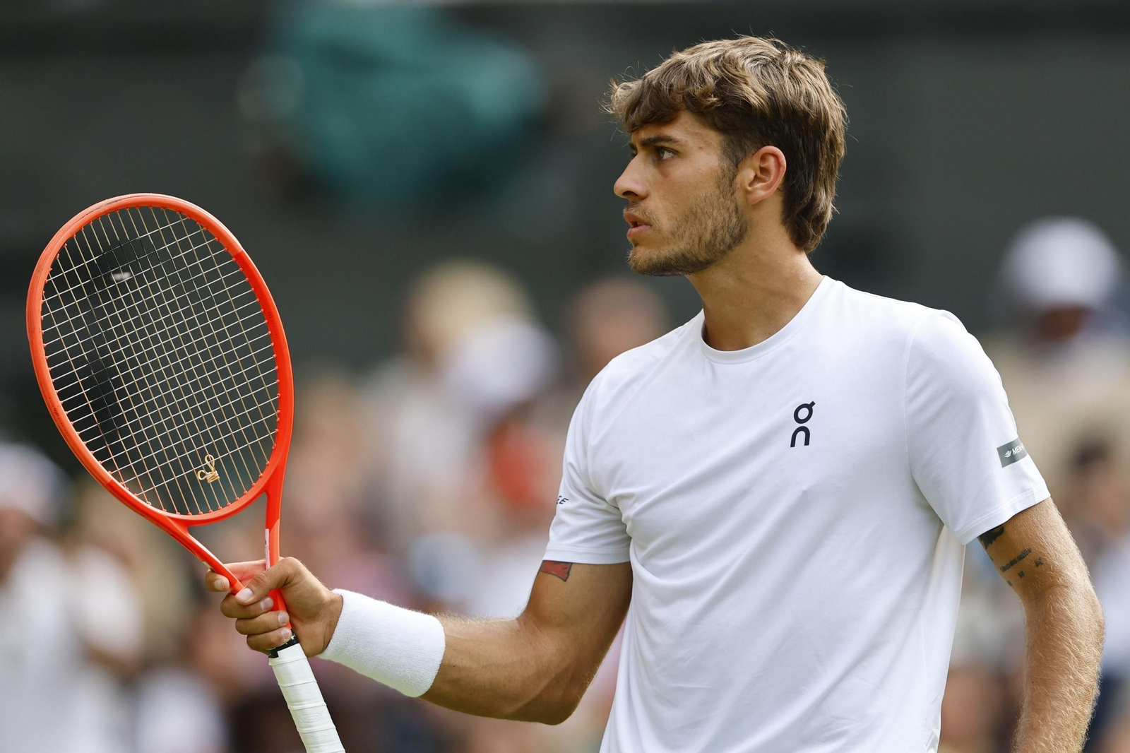 Las fotos de Wimbledon con las clasificaciones de Djokovic y Sinner