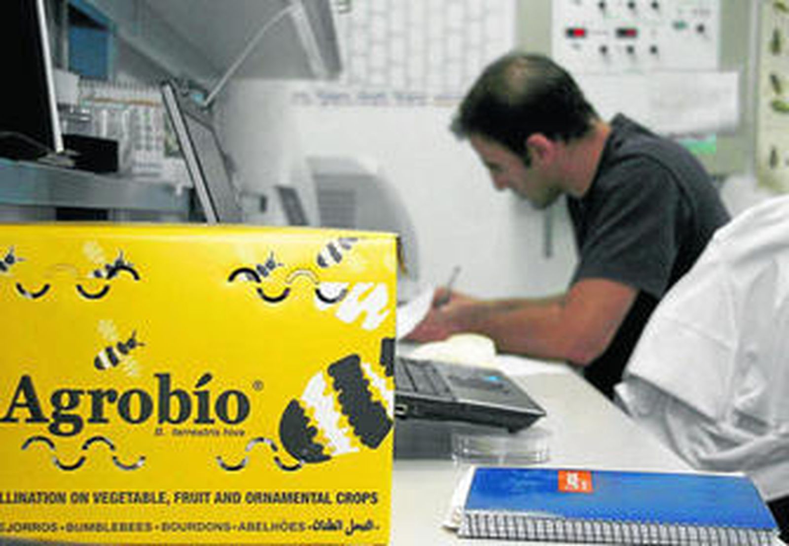 La producción de abejorros ha dejado paso a un sinfín de investigaciones sobre fauna auxiliar.