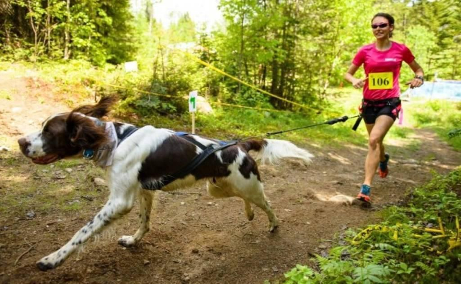 Una atleta y su mascota, en una prueba de canicross