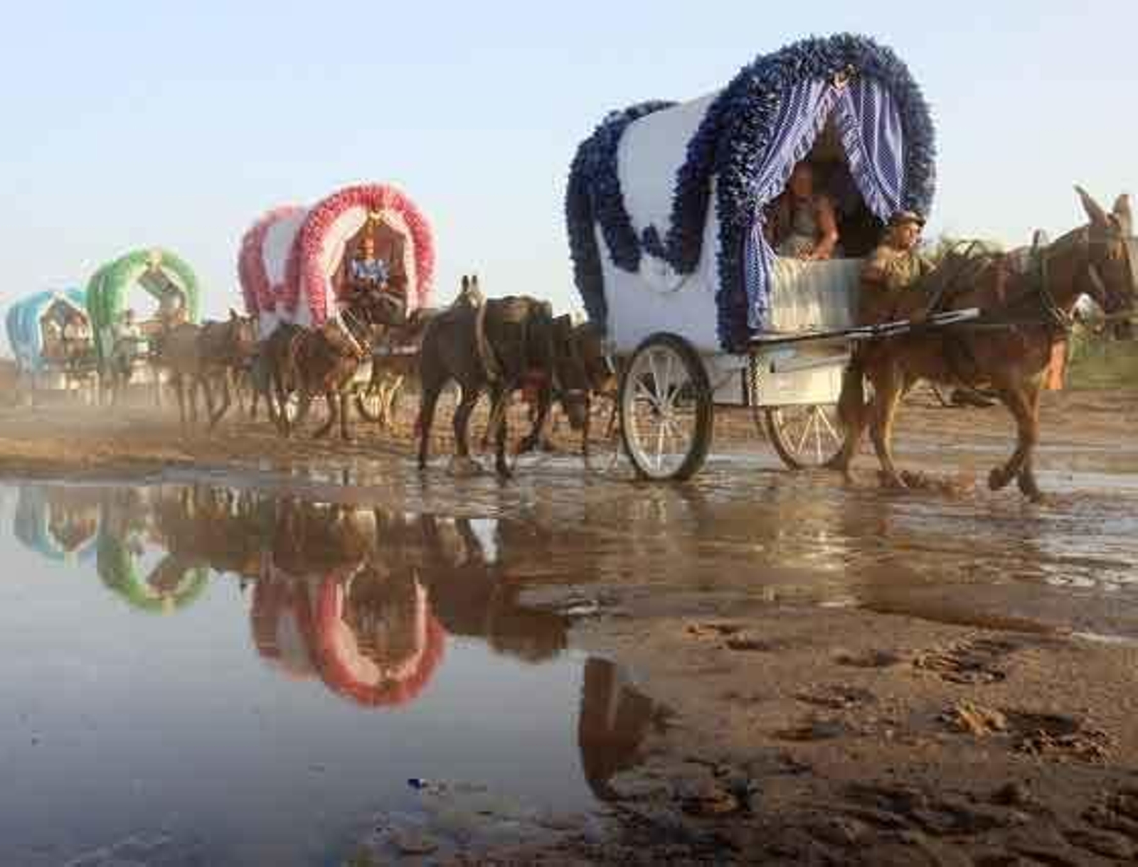 Algunas de las carretas de la caravana jerezana avanzan por un paraje con agua, una de las características de la Romería este año.  Foto: Juan Carlos Toro