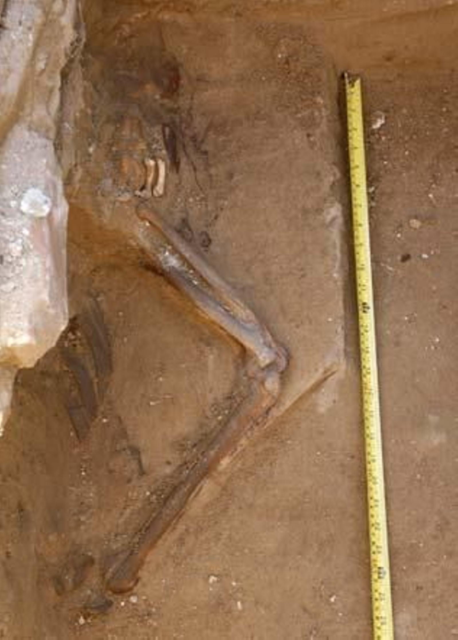 Hallan en Puerto Real una fosa con restos de más de cien fusilados durante la Guerra Civil

Foto: Borja Benjumeda