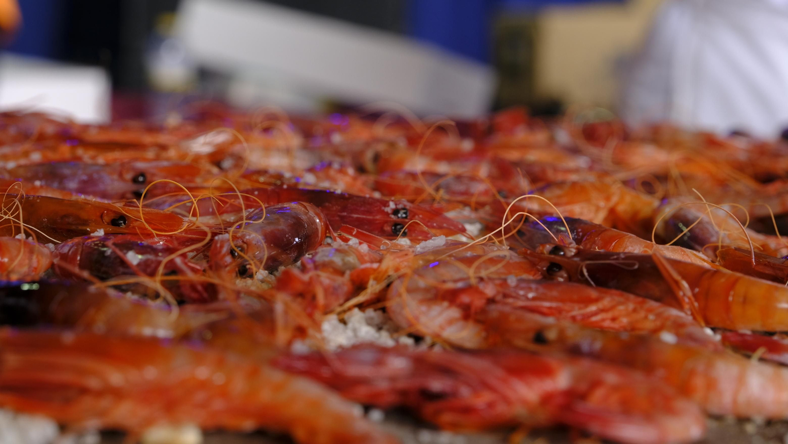 Imágenes de la Feria de la Gamba Roja de Garrucha