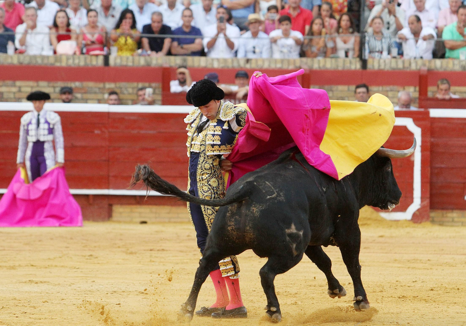 David de Miranda durante la corrida de esta tarde en la Plaza de Toros La Merced