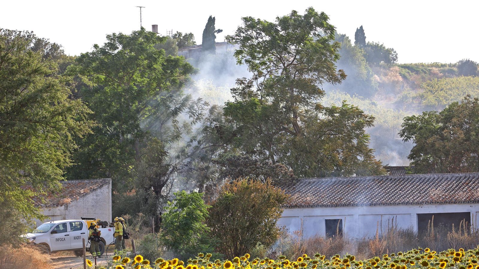 Humo en un paraje de la zona este de Jerez.