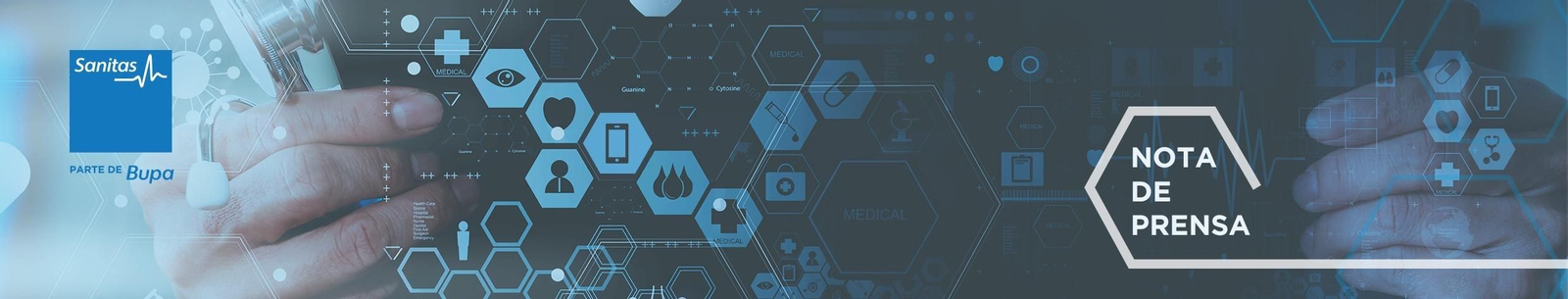 Inicio del portal de Sanitas.