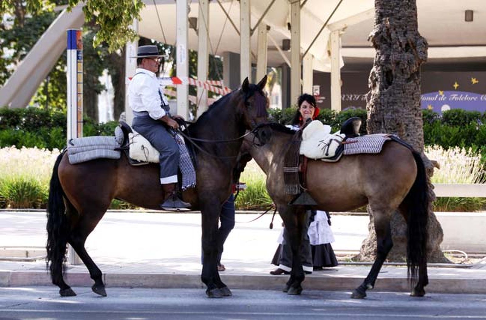 El calor también fue protagonista de la romería y caballos y caballistas buscaban una sombra en la que cobijarse.
FOTO: Migue Fernández