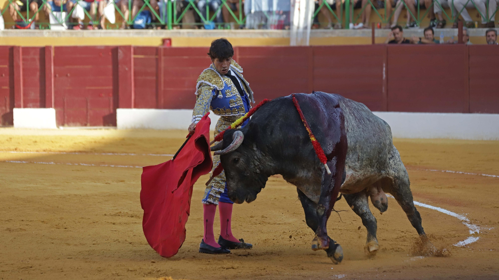 Fotos de la corrida del viernes de la Feria de La Línea: Curro Díaz, Manuel Escribano y David Galván