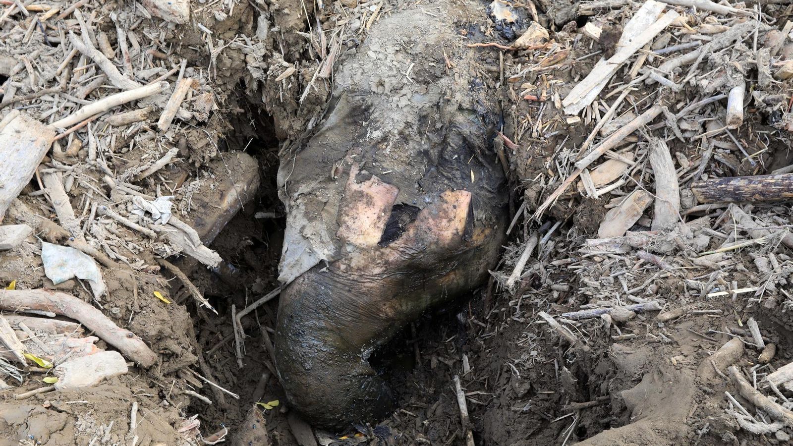 La cabeza del elegante muerto en las riadas de Indonesia.