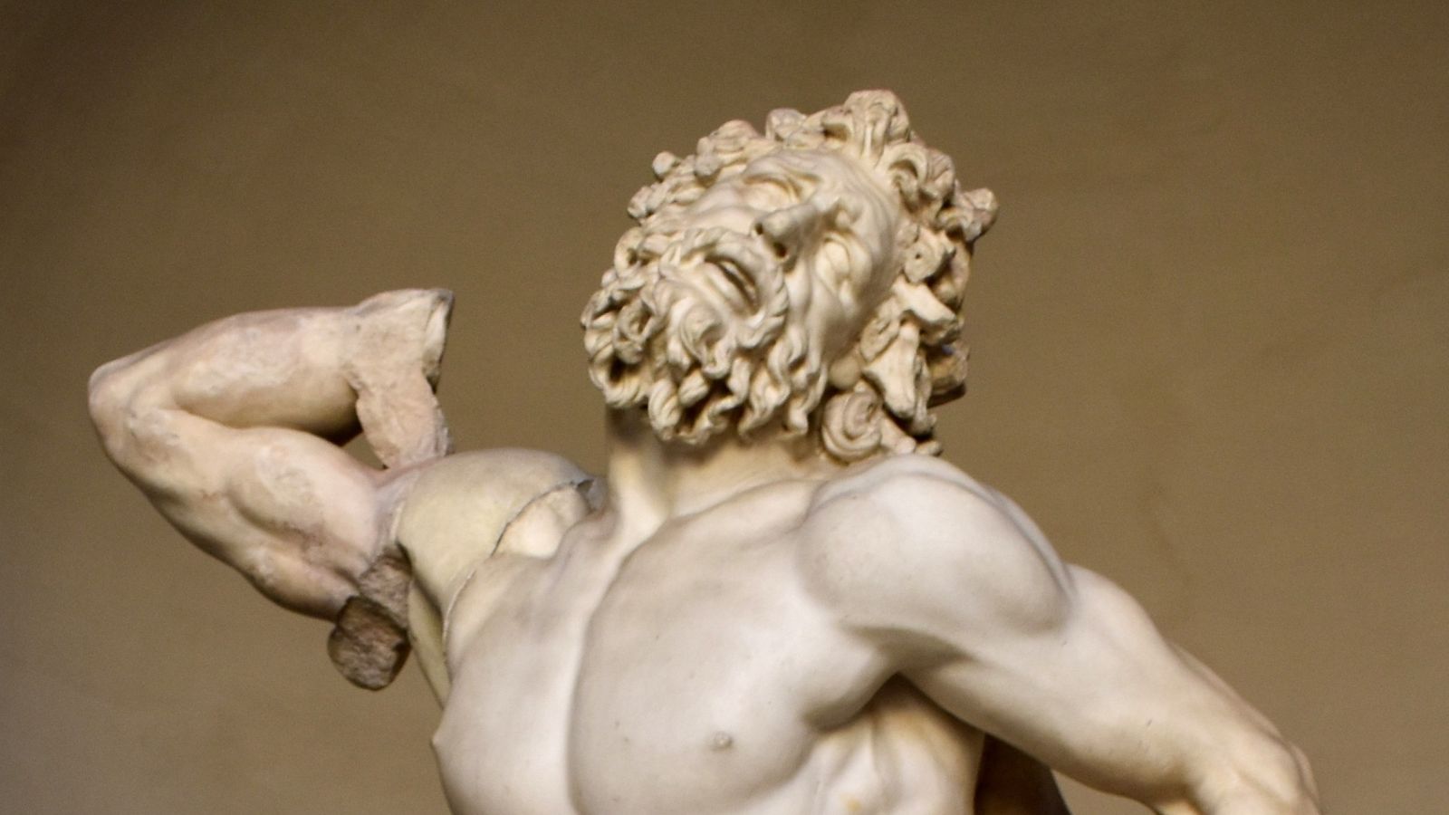 Detalle del 'Laocoonte' con el 'brazo de Pollak'.