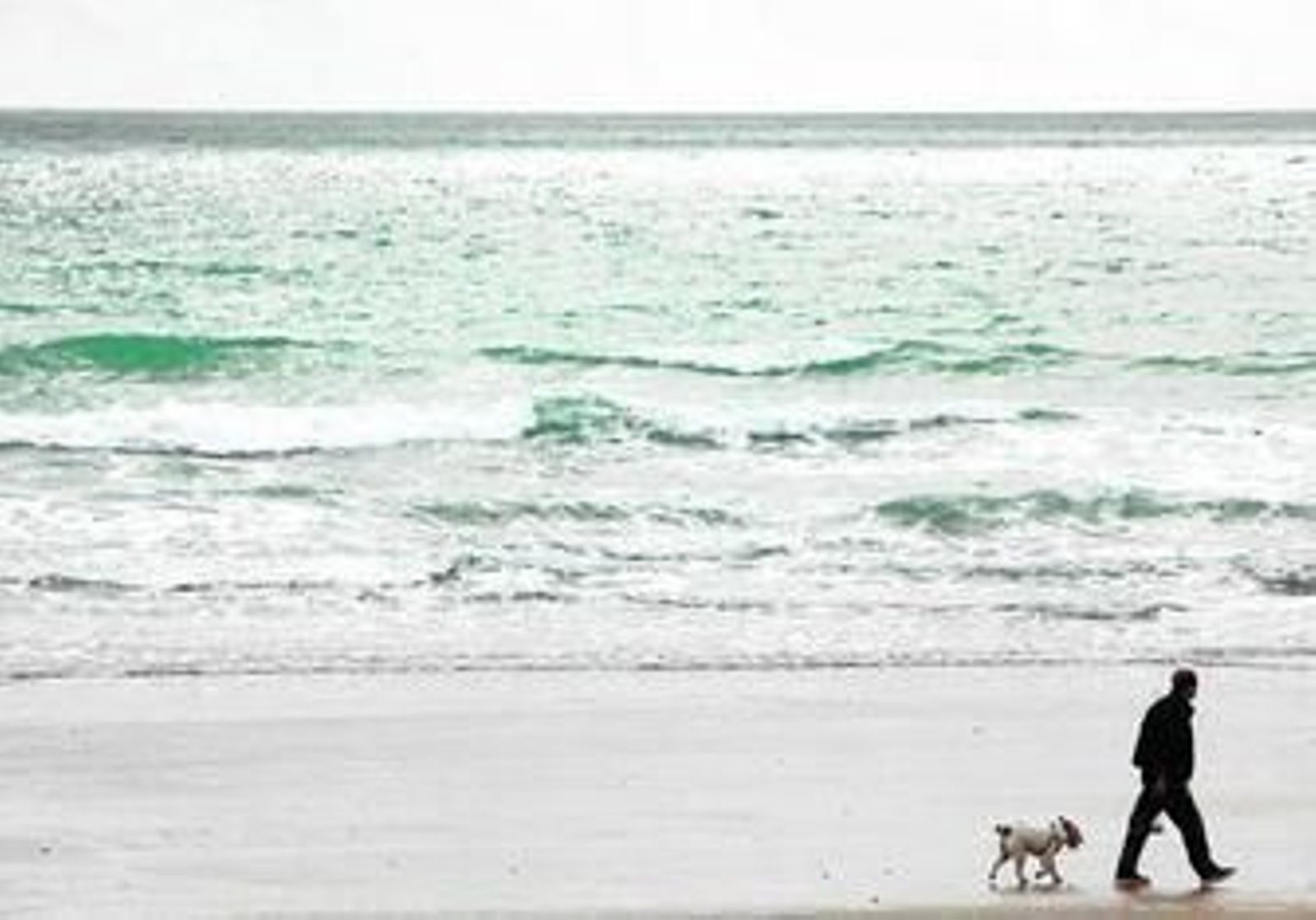Desde el pasado octubre los propietarios de perros pueden pasear con ellos por las playas portuenses durante la temporada baja.