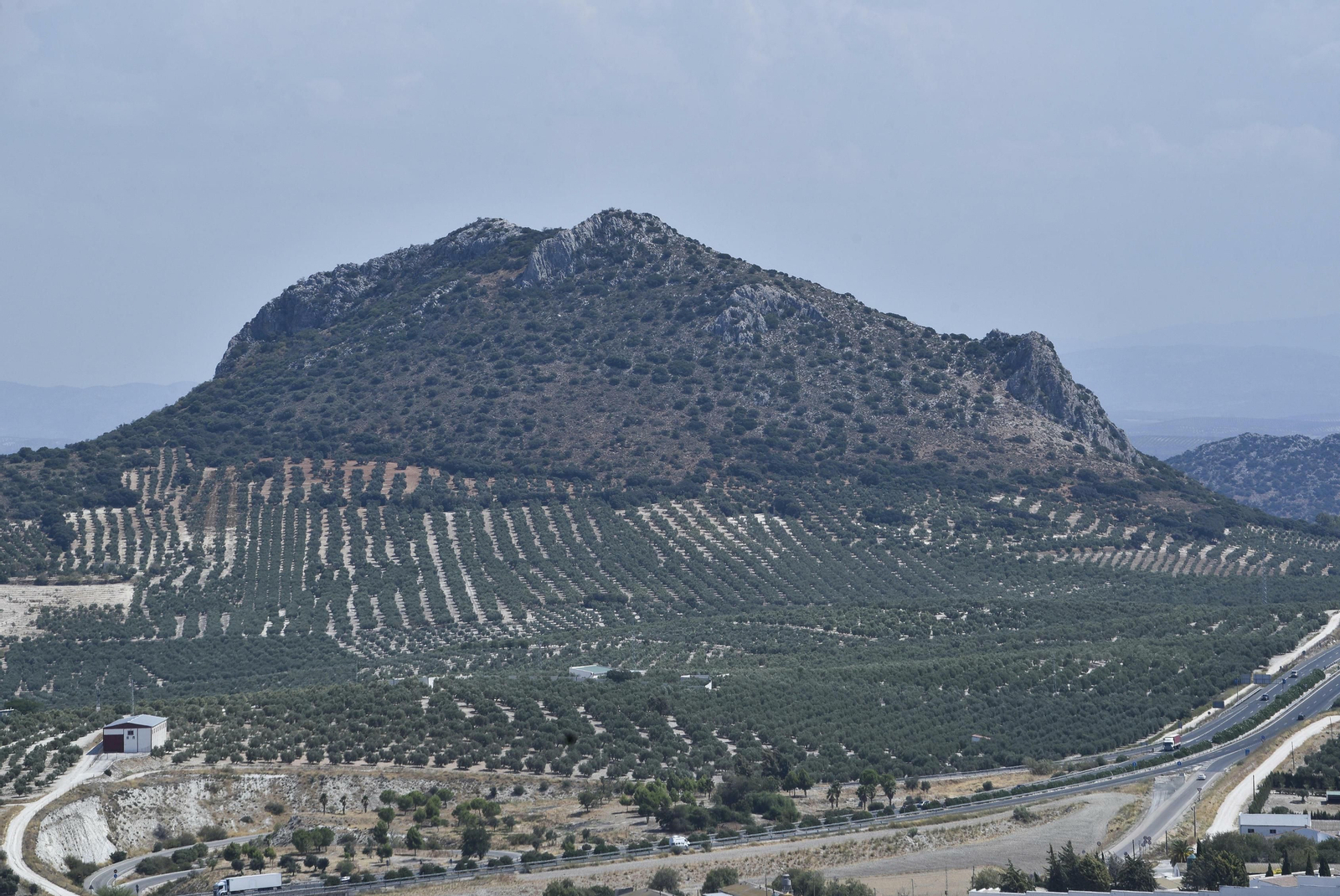Estepa, en imágenes