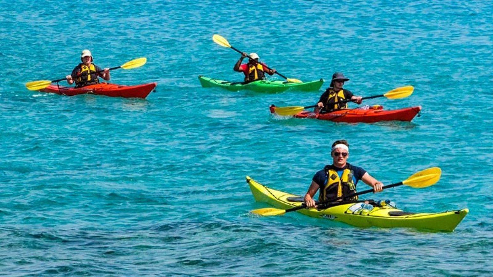 Grupo de Kayaks en la costa