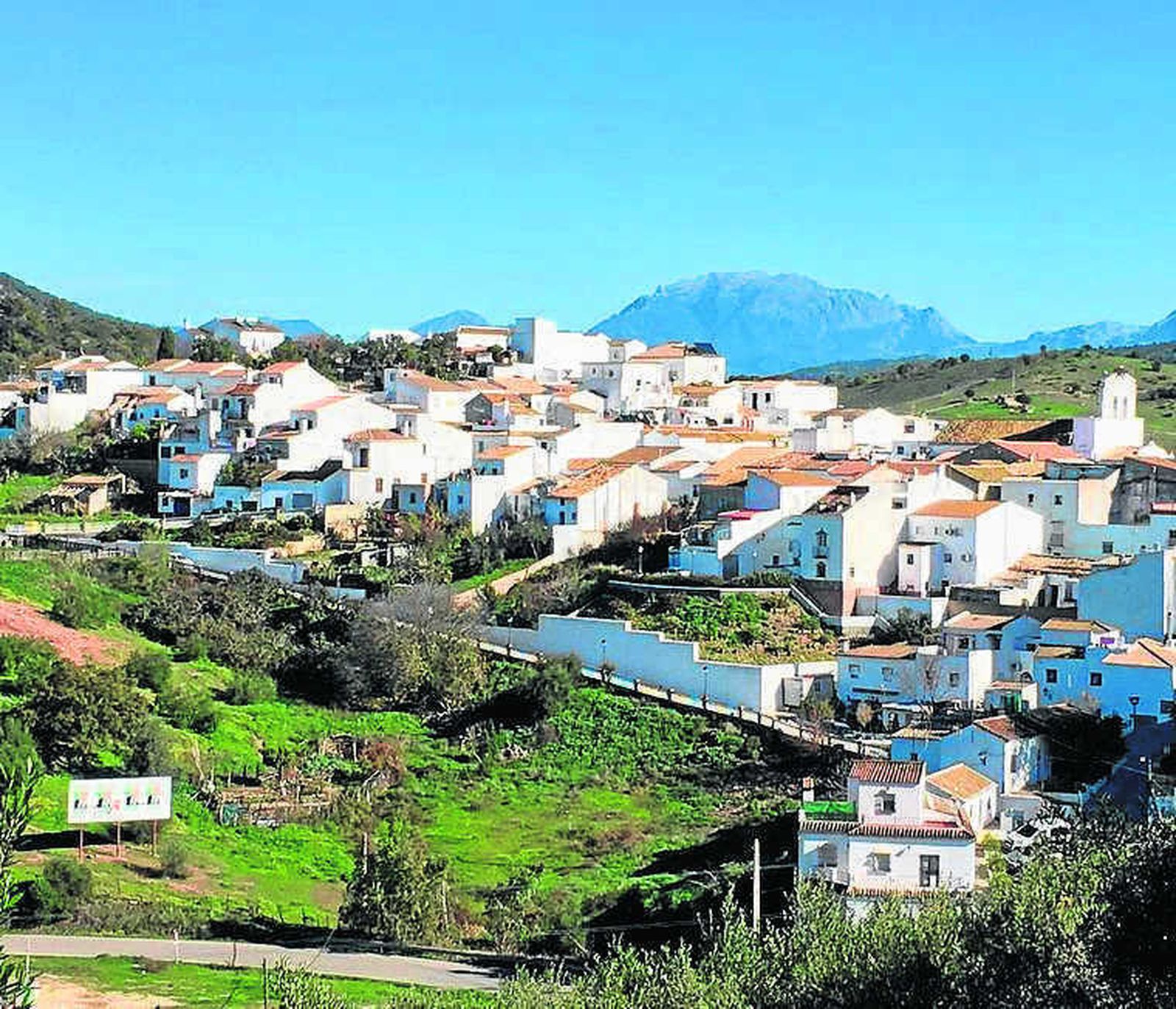 Los algareños viven de lleno desde hoy sus fiestas patronales