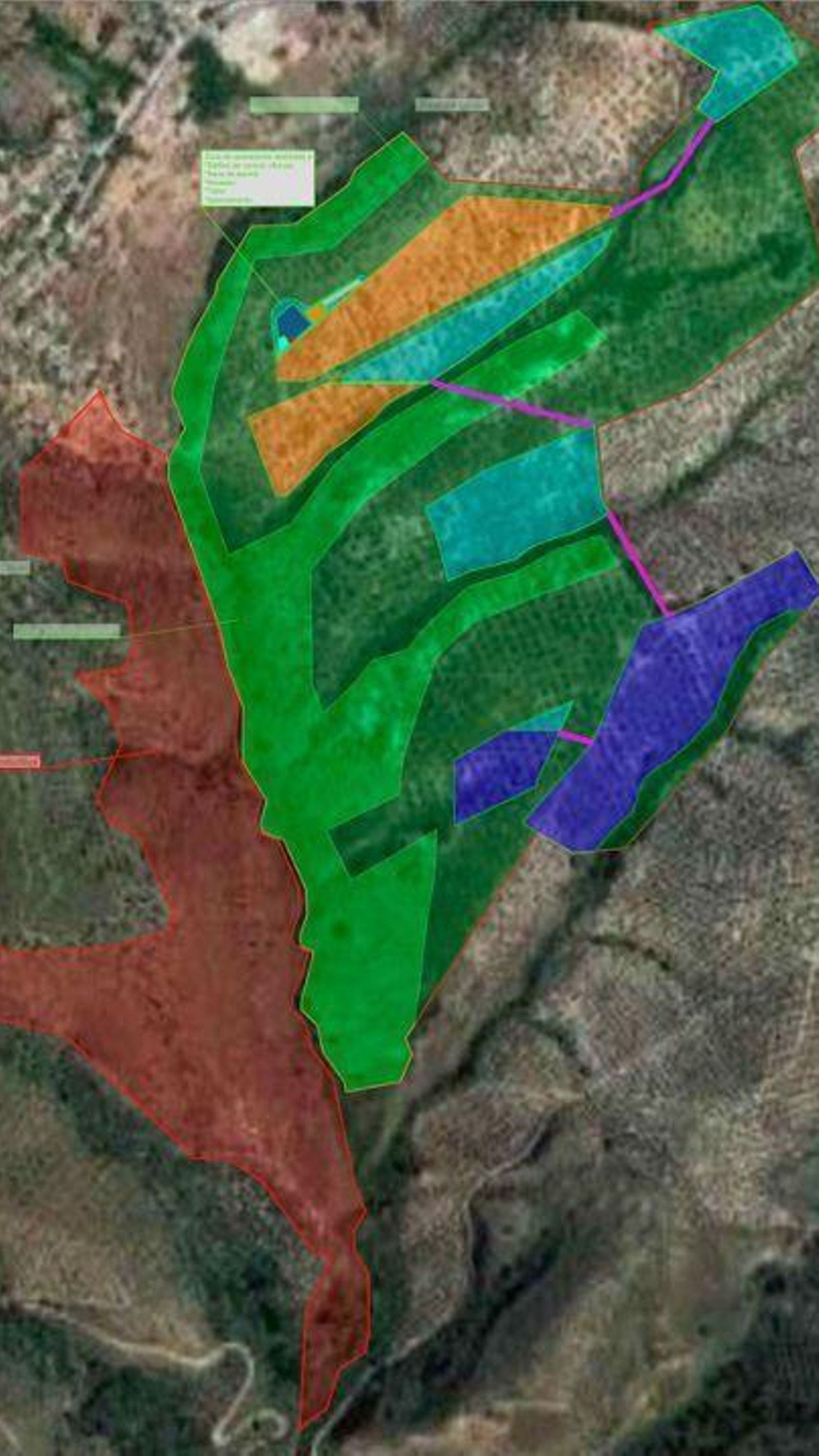En amarillo, azul claro y azul oscuro, los proyectos fotovoltaicos, en verde oscuro y claro la zona de olivar a rehabilitar y a cultivar, y en rojo parcela agraria anexa a la Agrupación Agrovoltica los Olivillos.