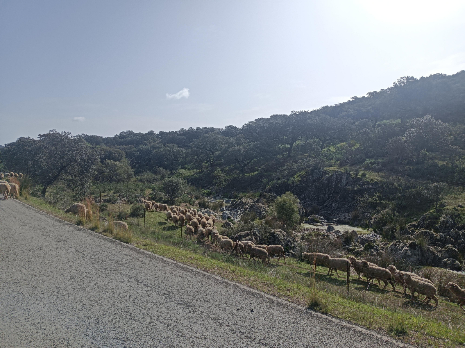Fotos de la georruta de La Lobera