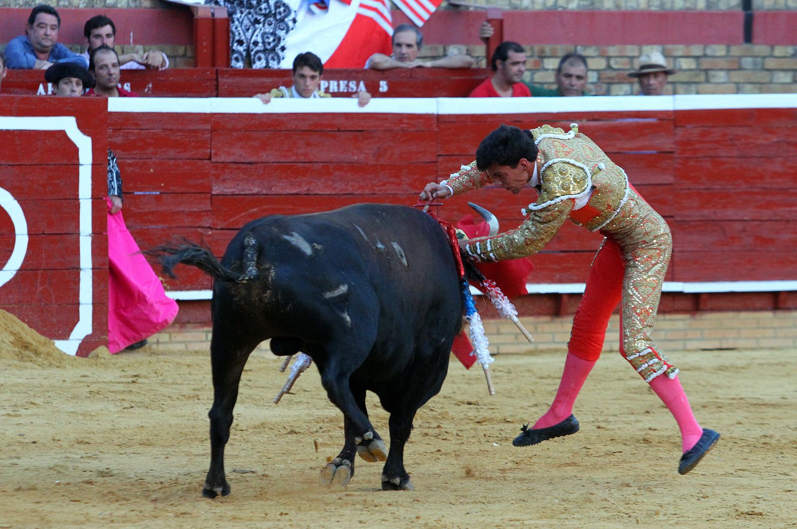 Imágenes de la Novillada de Rafael Serna, Emilio Silvera y Rodrigo Molina.