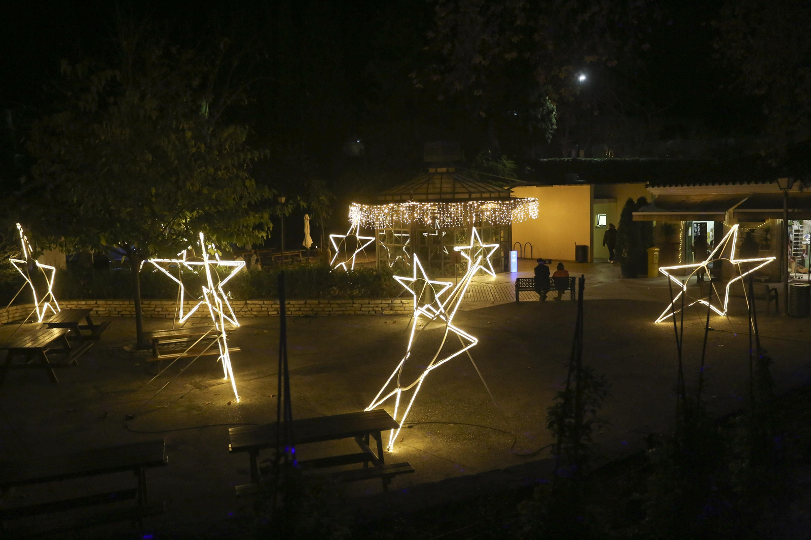 Las luces del Jardín Botánico de Málaga esta Navidad, en fotos