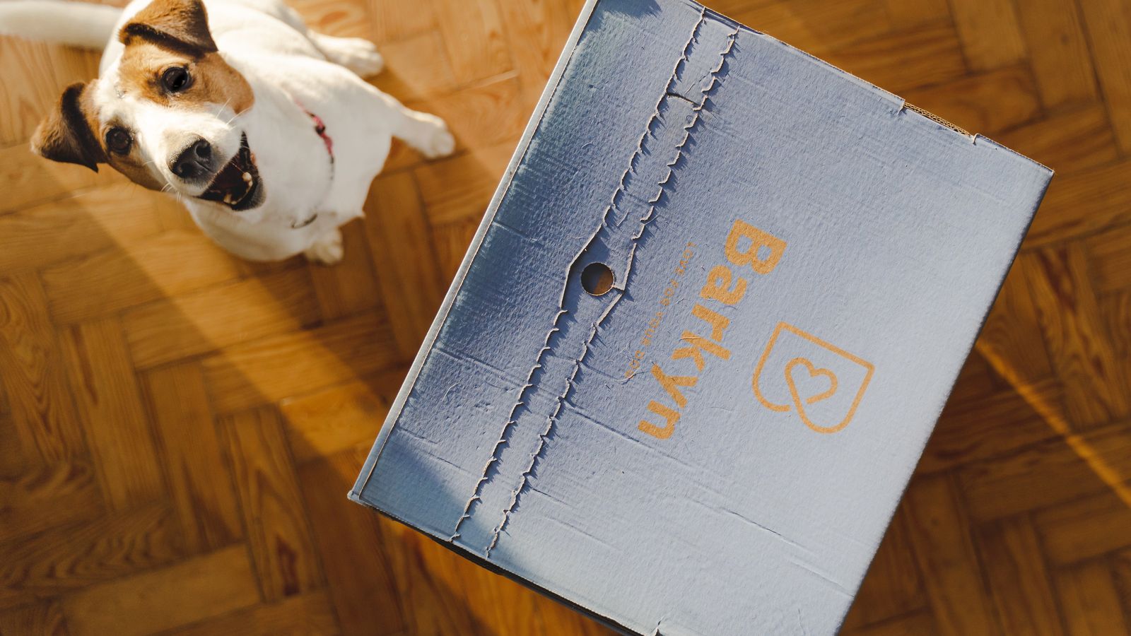 Seguir estimulándolos con juegos que les eduque, entre las recomendaciones.