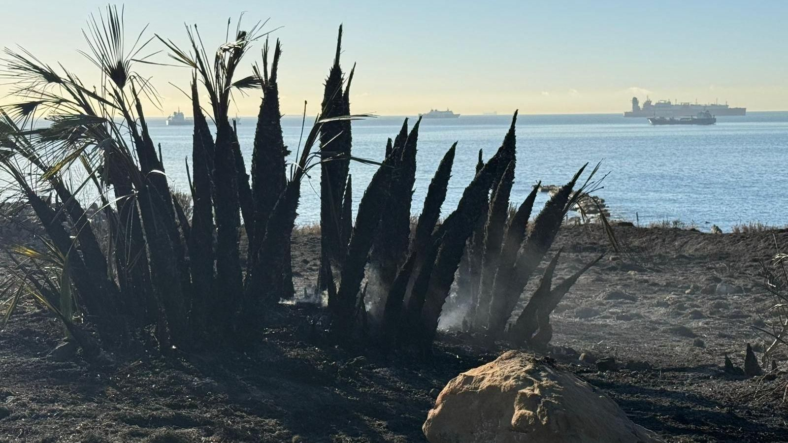 Vegetación quemada en el Parque del Centenario de Algeciras tras arder durante la madrugada de este miércoles.