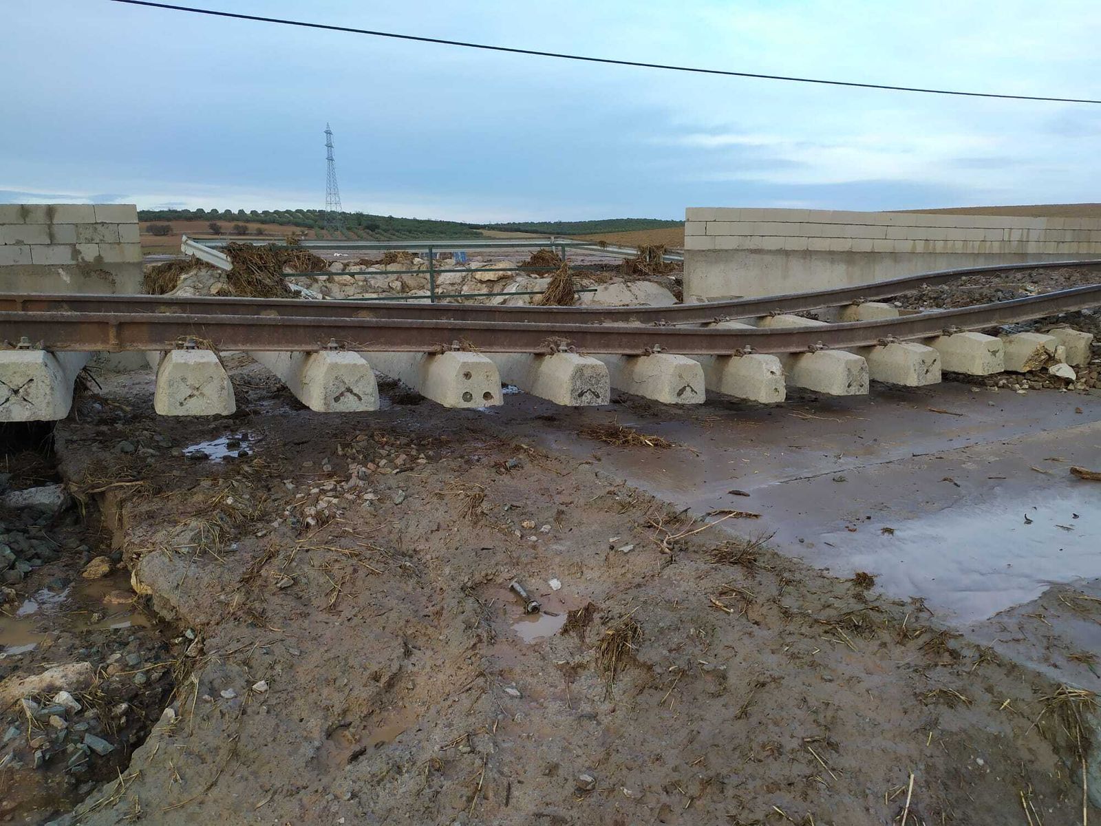 Descarrilamiento del tren Algeciras-Madrid