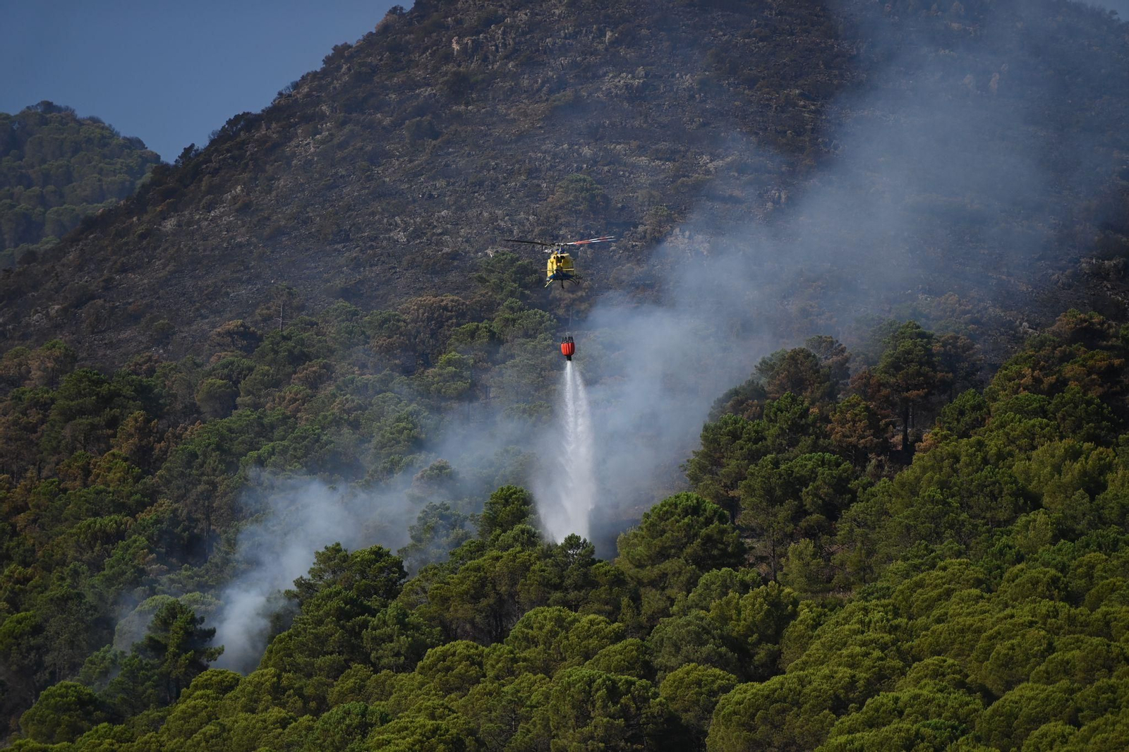 Las fotos de la lucha contra el fuego en Pinos de Alhaurín