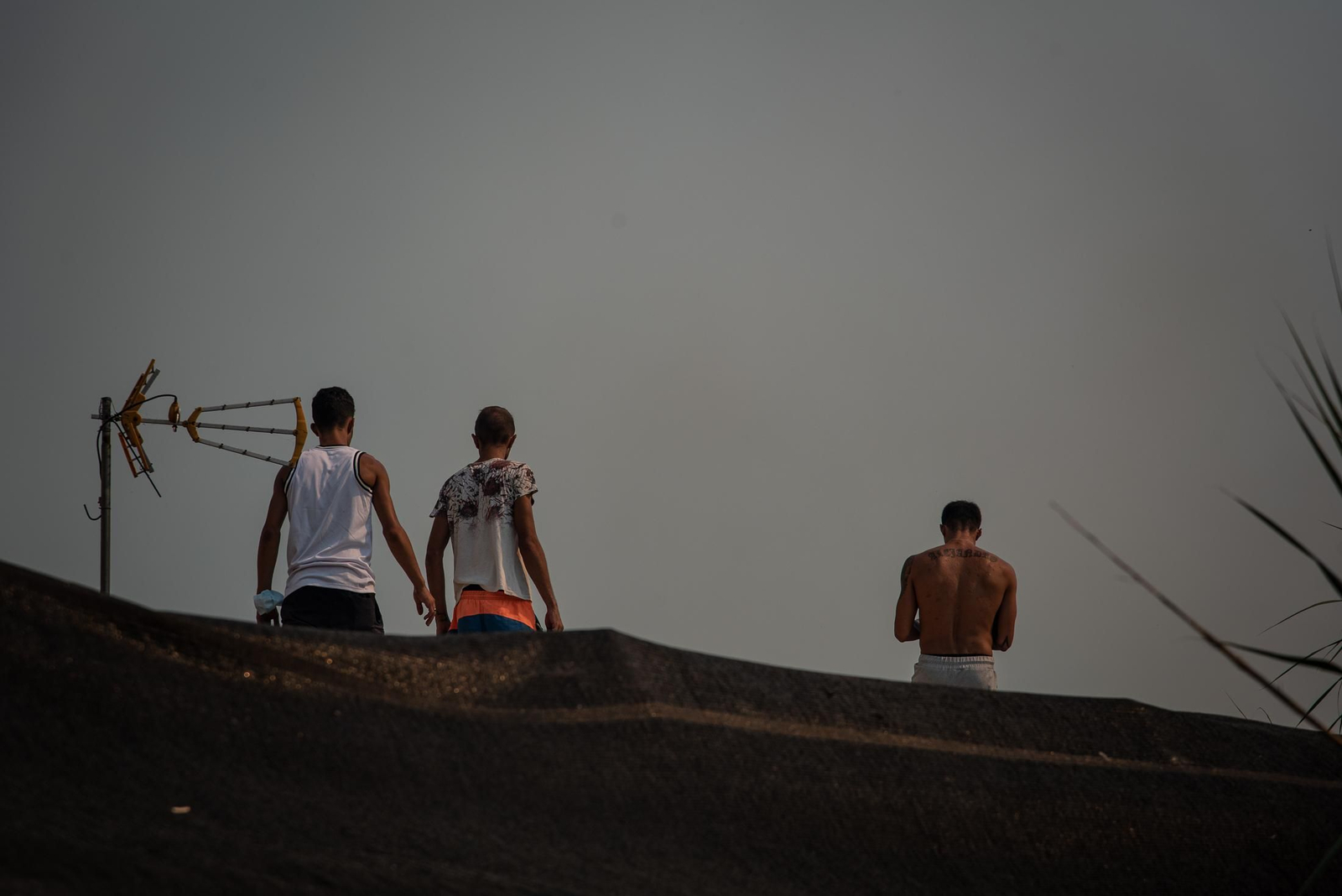 El incendio de Lucena del Puerto en imágenes