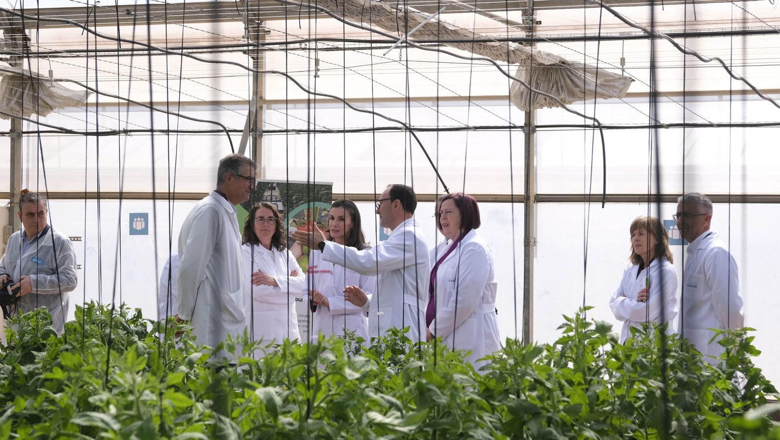 La visita de la reina Letizia a El Ejido, en imágenes